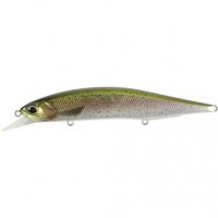 Воблер DUO Realis Jerkbait 120SP Pike 120mm 17.8g CCC3836 Rainbow Trout (34.27.87)