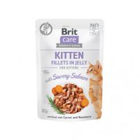 Влажный корм для кошек Brit Care Cat pouch для котят 85 г (пикантный лосось в желе) (8595602540594)